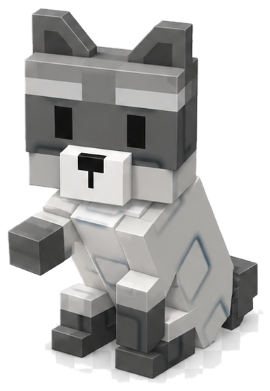 Raccoon Pet